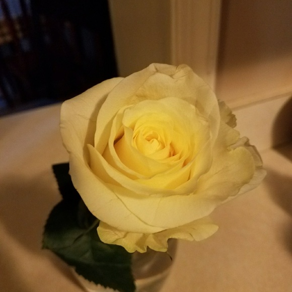 Meet your Posher, Laurie - Picture 1 of 1